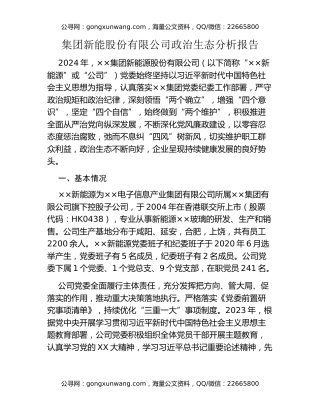 集团新能股份有限公司政治生态分析报告