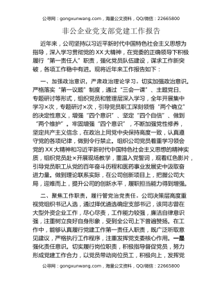 非公企业党支部党建工作报告