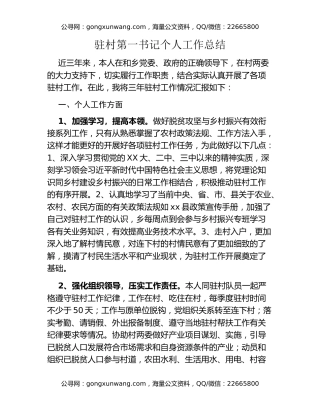 驻村第一书记个人工作总结