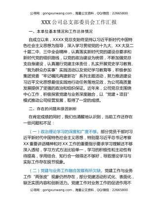 （巡c准备）XXX公司总支部委员会工作汇报
