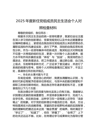 2025年度新任党组成员民主生活会个人对照检查材料