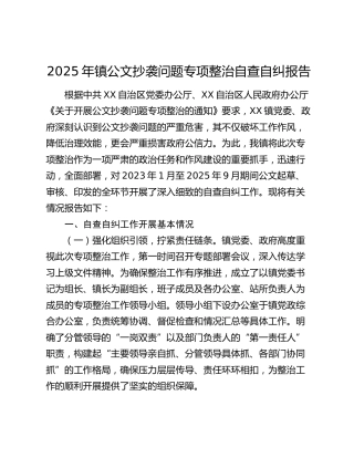 2025年镇公文抄袭问题专项整治自查自纠报告