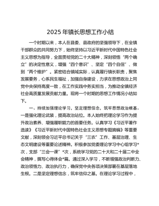 2025年镇长思想工作小结