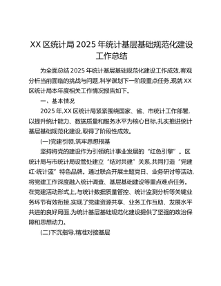XX区统计局2025年统计基层基础规范化建设工作总结