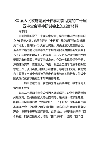 XX县人民政府副县长在学习贯彻党的二十届四中全会精神研讨会上的发言材料