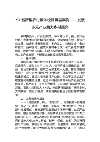 XX省新型农村集体经济典型案例——发展多元产业助力乡村振兴
