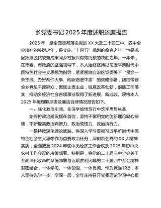 乡党委书记2025年度述职述廉报告