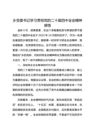 乡党委书记学习贯彻党的二十届四中全会精神感悟