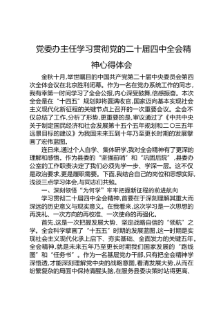 党委办主任学习贯彻党的二十届四中全会精神心得体会