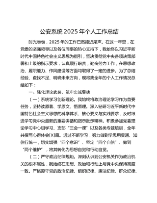 公安系统2025年个人工作总结