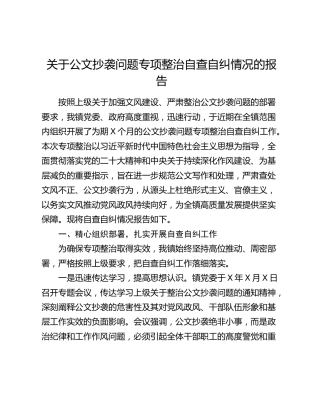 关于公文抄袭问题专项整治自查自纠情况的报告