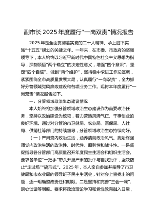 副市长2025年度履行“一岗双责”情况报告