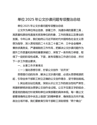 单位2025年公文抄袭问题专项整治总结