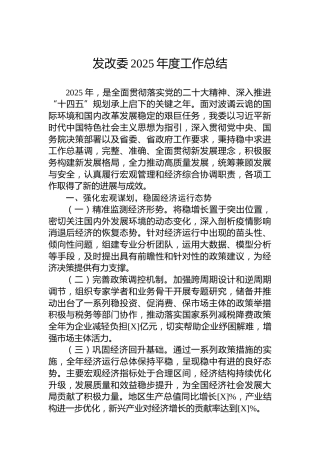 发改委2025年度工作总结