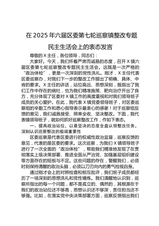 在2025年六届区委第七轮巡察镇整改专题民主生活会上的表态发言