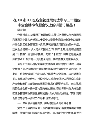 在XX市XX区应急管理局传达学习二十届四中全会精神专题会议上的讲话