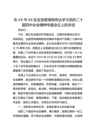在XX市XX区应急管理局传达学习党的二十届四中全会精神专题会议上的讲话_1