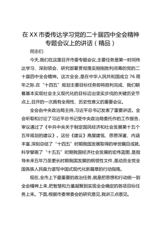 在XX市委传达学习党的二十届四中全会精神专题会议上的讲话