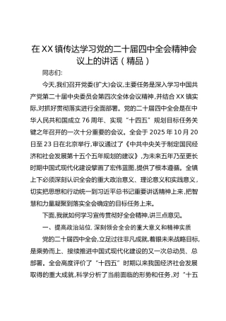 在XX镇传达学习党的二十届四中全会精神会议上的讲话