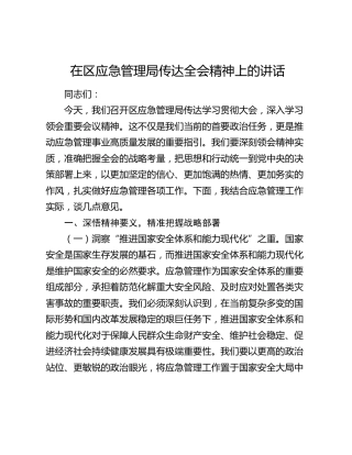 在区应急管理局传达四中全会精神上的讲话