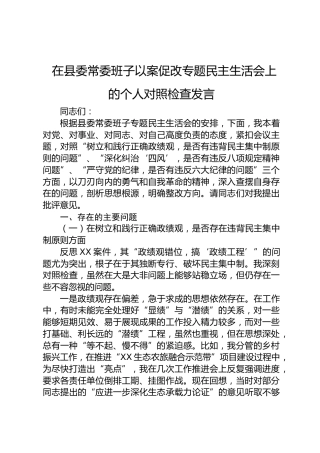在县委常委班子以案促改专题民主生活会上的个人对照检查发言