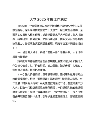 大学2025年度工作总结