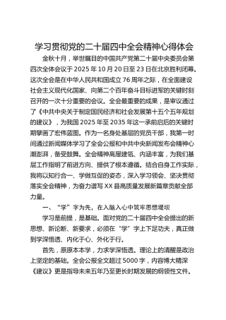 学习贯彻党的二十届四中全会精神心得体会