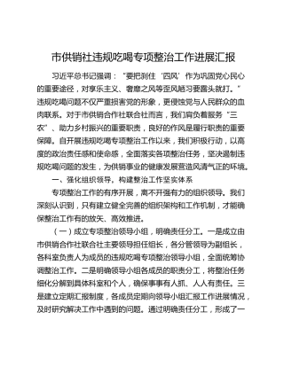 市供销社违规吃喝专项整治工作进展汇报