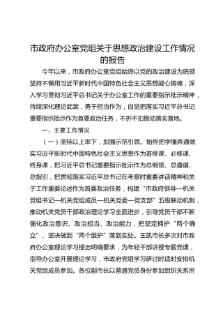 市政府办公室党组关于思想政治建设工作情况的报告