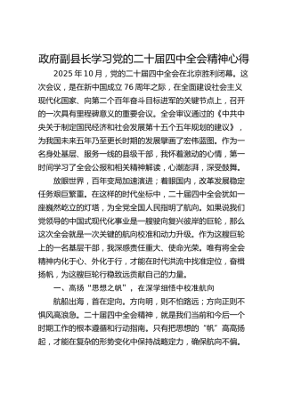 政府副县长学习党的二十届四中全会精神心得