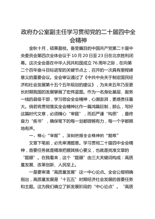 政府办公室副主任学习贯彻党的二十届四中全会精神