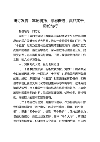 深入学习贯彻党的二十届四中全会精神研讨发言心得体会：牢记嘱托、感恩奋进，真抓实干、勇毅前行