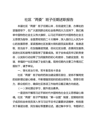 社区“两委”班子任期述职报告