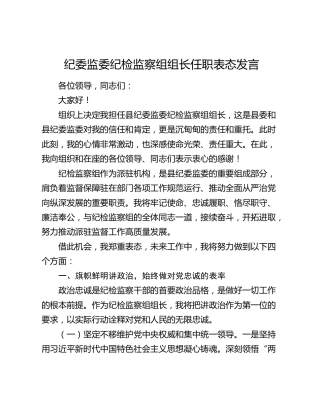 纪委监委纪检监察组组长任职表态发言