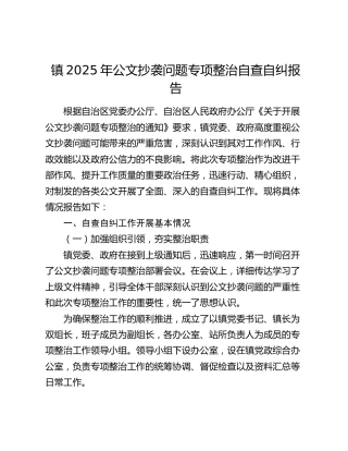 镇2025年公文抄袭问题专项整治自查自纠报告