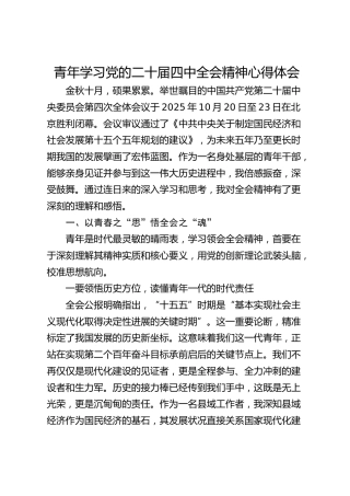 青年学习党的二十届四中全会精神心得体会