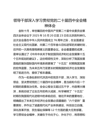 领导干部深入学习贯彻党的二十届四中全会精神体会