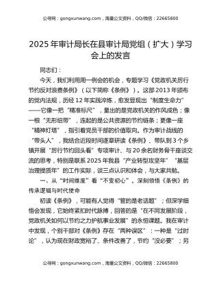 2025年审计局长在县审计局党组（扩大）学习会上的发言