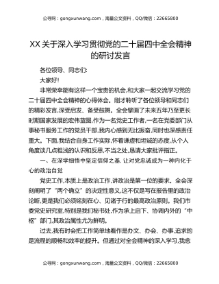 XX关于深入学习贯彻党的二十届四中全会精神的研讨发言