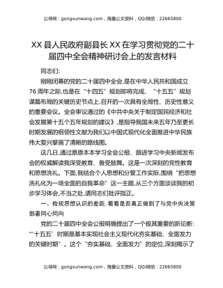 XX县人民政府副县长XX在学习贯彻党的二十届四中全会精神研讨会上的发言材料