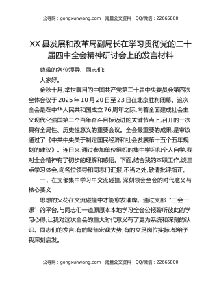 XX县发展和改革局副局长在学习贯彻党的二十届四中全会精神研讨会上的发言材料