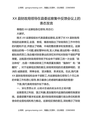 XX县财政局领导在县委巡察集中反馈会议上的表态发言