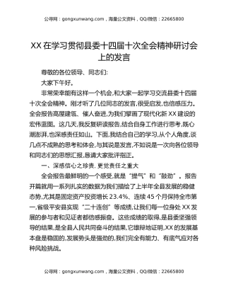 XX在学习贯彻县委十四届十次全会精神研讨会上的发言