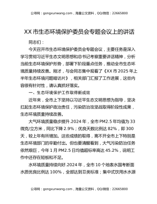 XX市生态环境保护委员会专题会议上的讲话