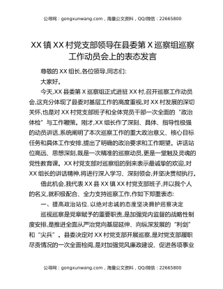 XX镇XX村党支部领导在县委第X巡察组巡察工作动员会上的表态发言