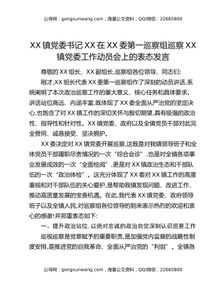 XX镇党委书记XX在XX委第一巡察组巡察XX镇党委工作动员会上的表态发言