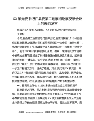 XX镇党委书记在县委第二巡察组巡察反馈会议上的表态发言