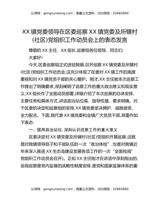 XX镇党委领导在区委巡察XX镇党委及所辖村(社区)党组织工作动员会上的表态发言