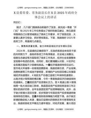 X县委常委、常务副县长在X县2025年政府全体会议上的讲话