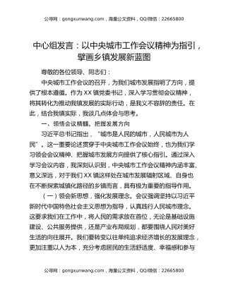 中心组发言：以中央城市工作会议精神为指引，擘画乡镇发展新蓝图